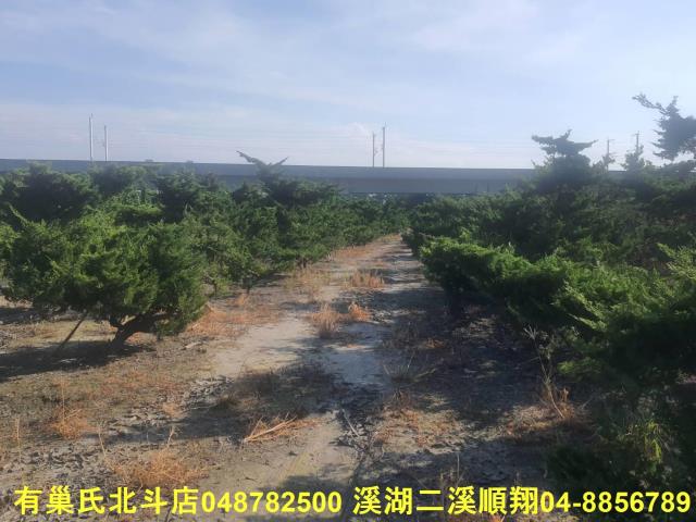 彰化溪州農地-6