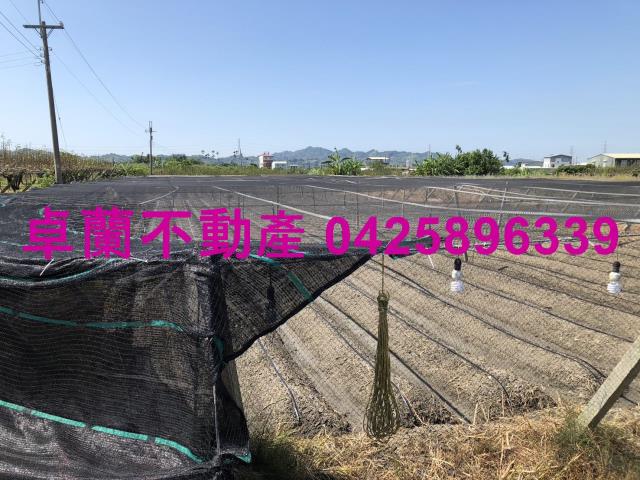 卓蘭農地-2