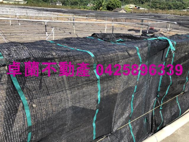 卓蘭農地-3
