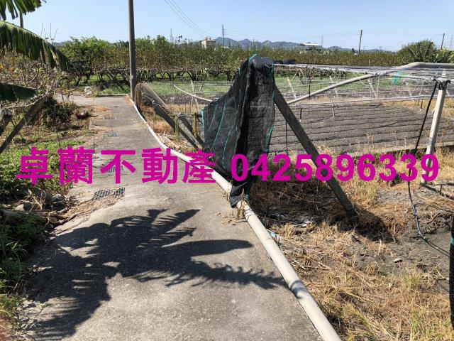 卓蘭農地-4