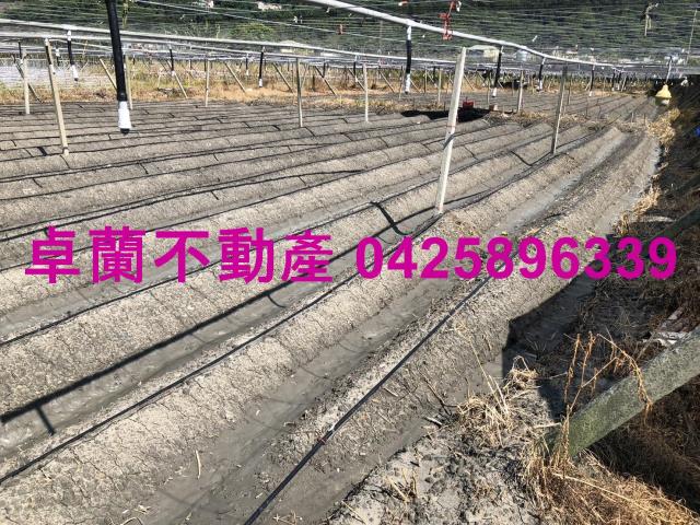 卓蘭農地-5