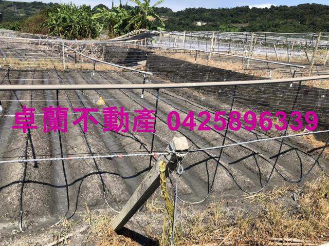 卓蘭農地-6