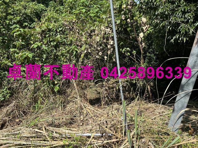卓蘭農地-10