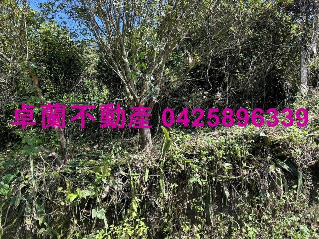 卓蘭農地-11