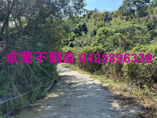 卓蘭農地-9
