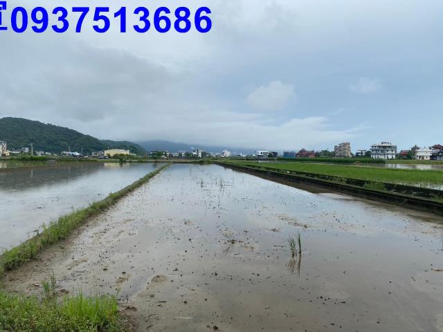 宜蘭農地-5