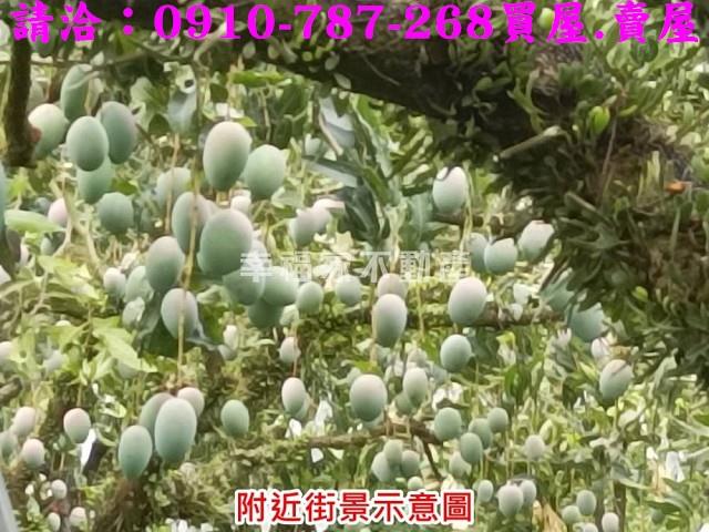 台南農地-10