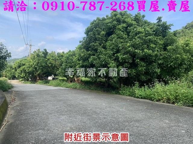 台南農地-12