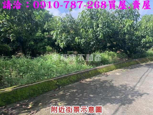 台南農地-13