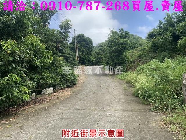 台南農地-3