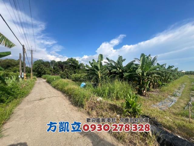 台南農地-10