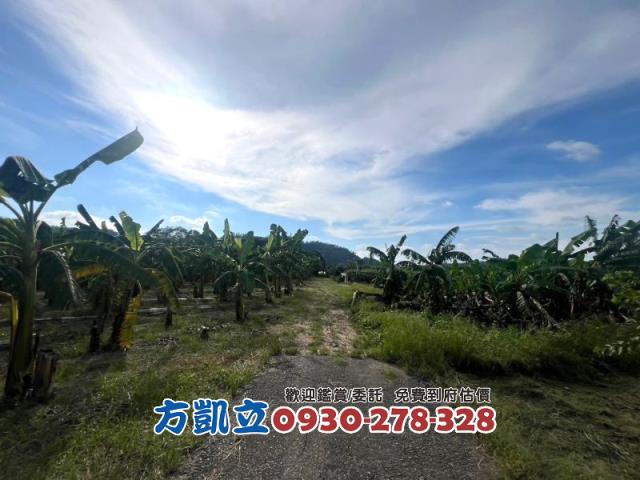 台南農地-8