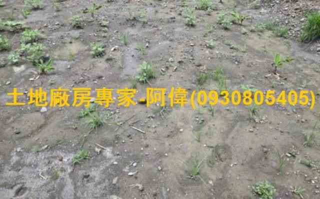 高雄大寮農地-1
