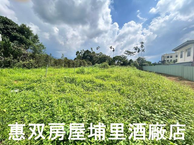 埔里農地-1