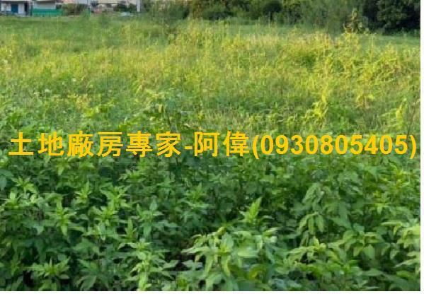 大寮農地-1