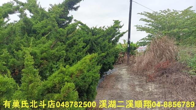 田尾農地-1