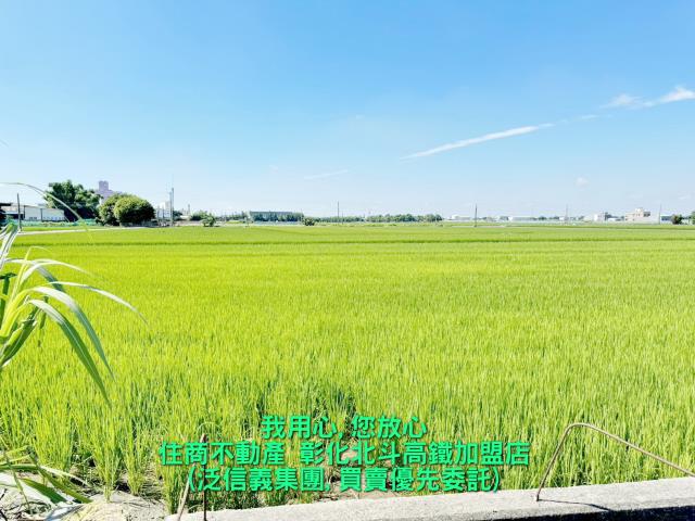 埤頭農地-1