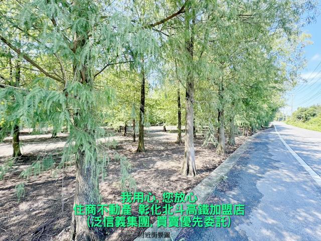 埤頭農地-6