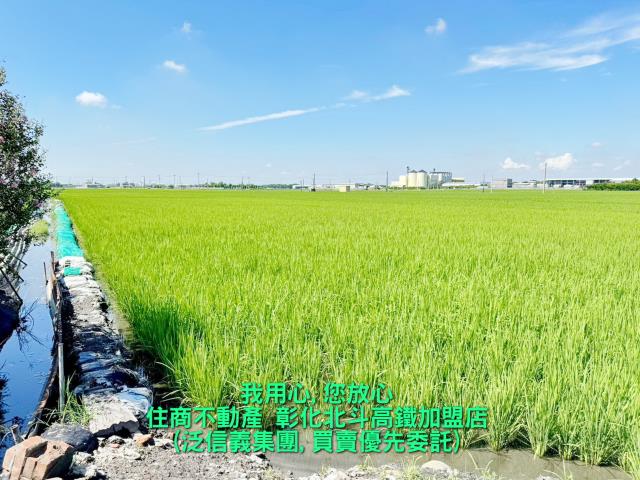 埤頭農地-1