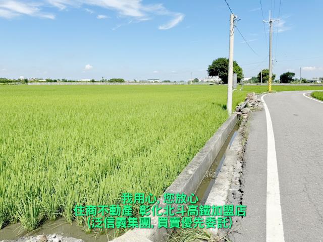 埤頭農地-2