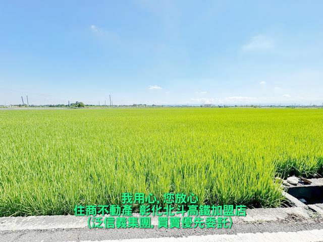 埤頭農地-3
