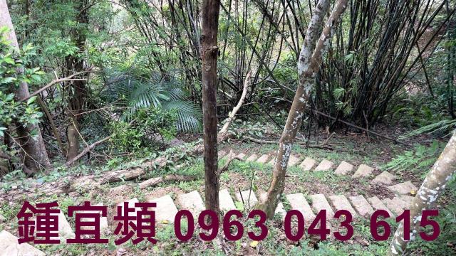 新竹山坡地-12