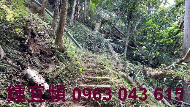 新竹山坡地-13