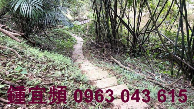 新竹山坡地-14