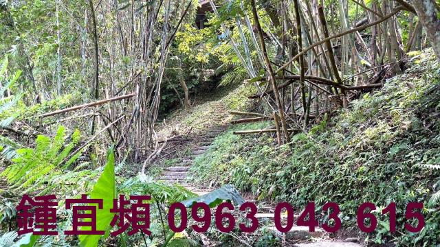 新竹山坡地-15