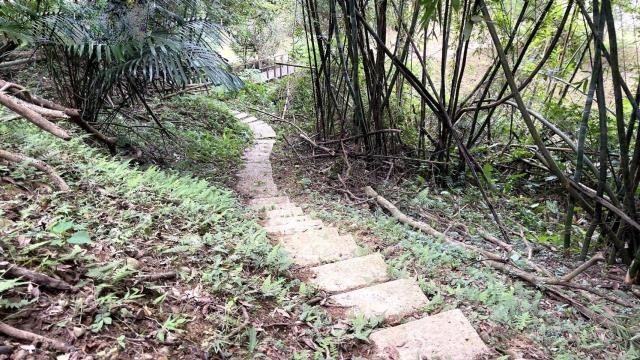 新竹關西林地-13