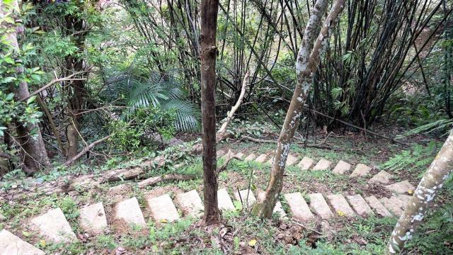 新竹關西林地-14