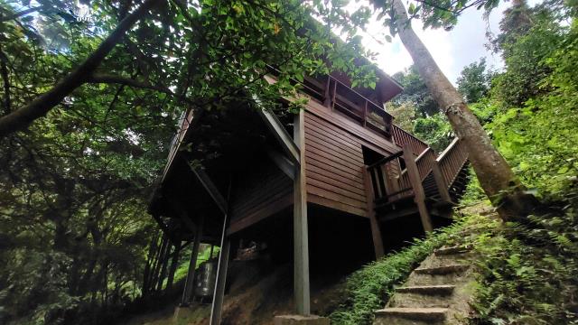 新竹關西林地-5