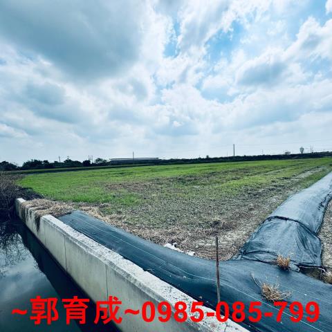 嘉義朴子農地-3