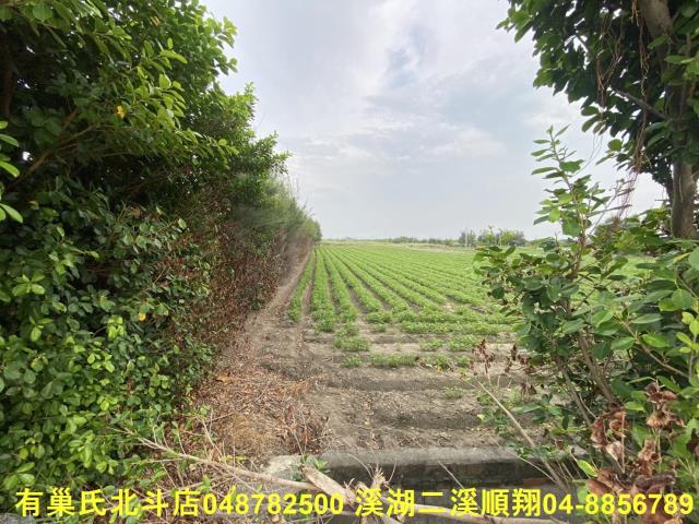 大城農地-3
