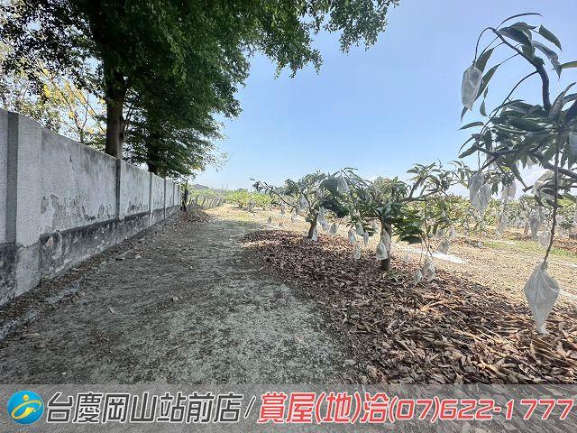 高雄農地-11
