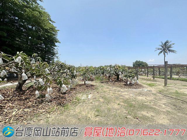 高雄農地-12