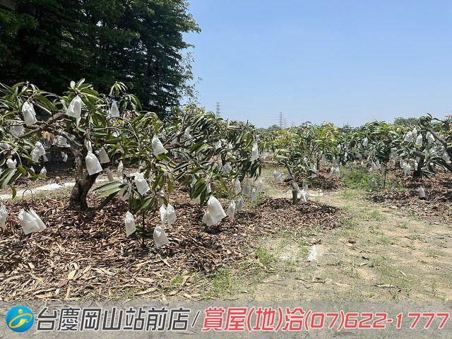 高雄農地-13
