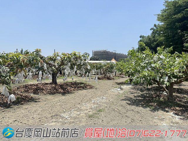 高雄農地-5