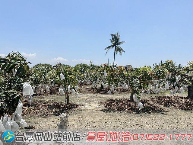 高雄農地-7