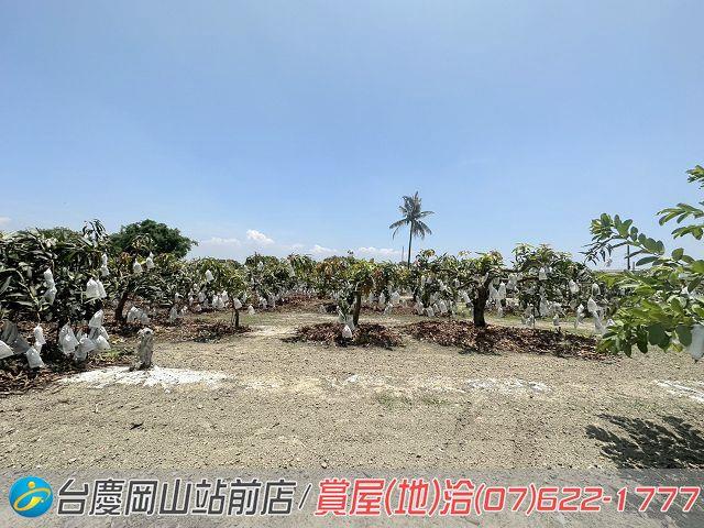 高雄農地-8