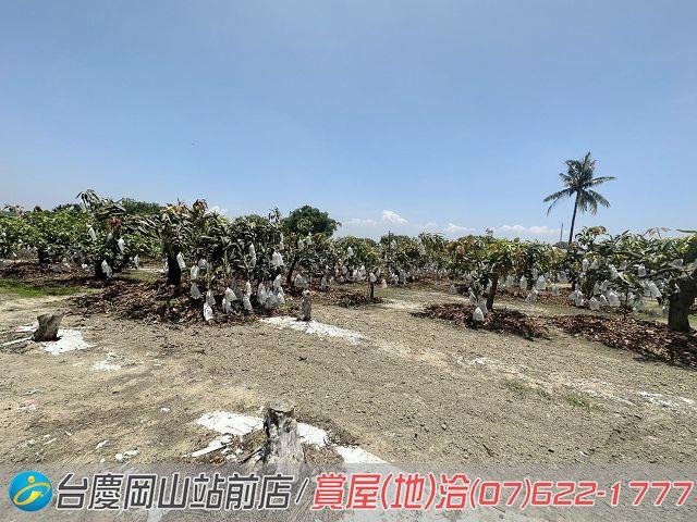 高雄農地-9