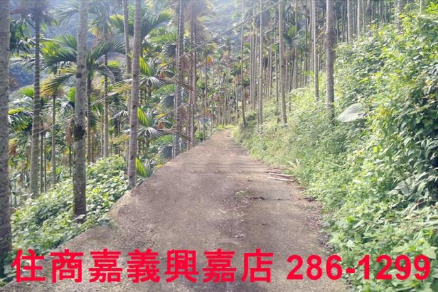 嘉義農地-1