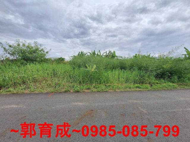 嘉義中埔農地-3