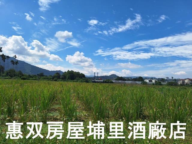 南投埔里農地-2