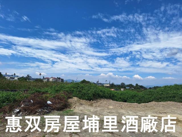 南投埔里農地-3