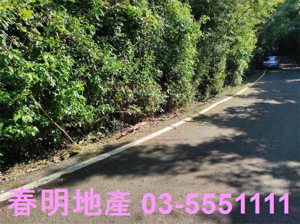 新竹關西農地-2