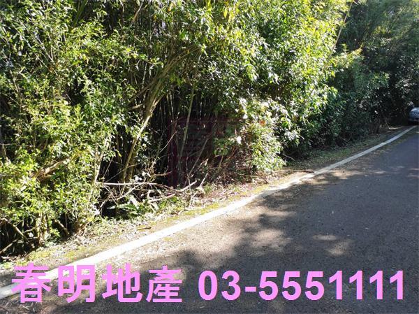新竹關西農地-4