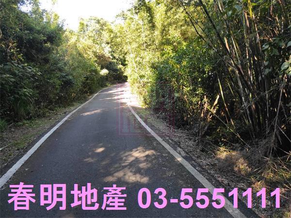 新竹關西農地-8