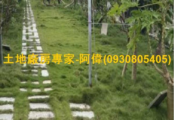 高雄住宅地-1