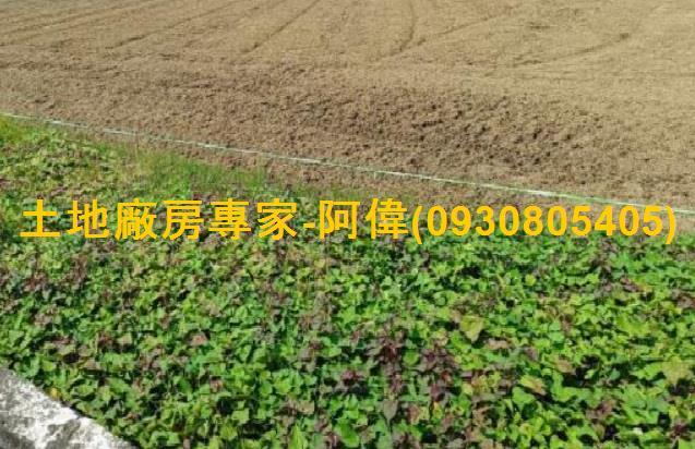 高雄農地-1